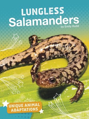 cover image of Lungless Salamanders
